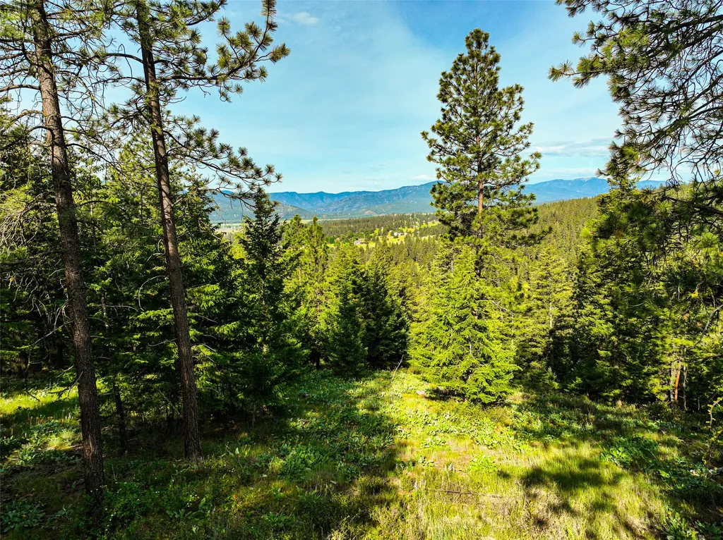 Nhn Nighthawk Drive Frenchtown MT 59834
