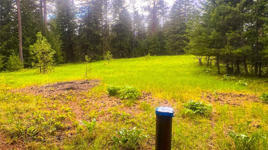 Nhn Nighthawk Drive Frenchtown MT 59834