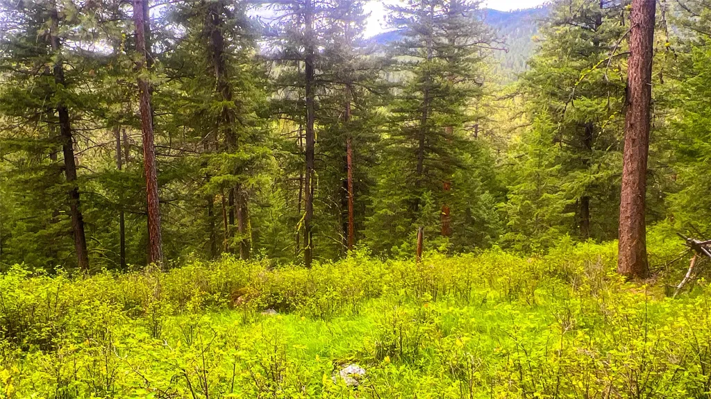 Nhn Nighthawk Drive Frenchtown MT 59834