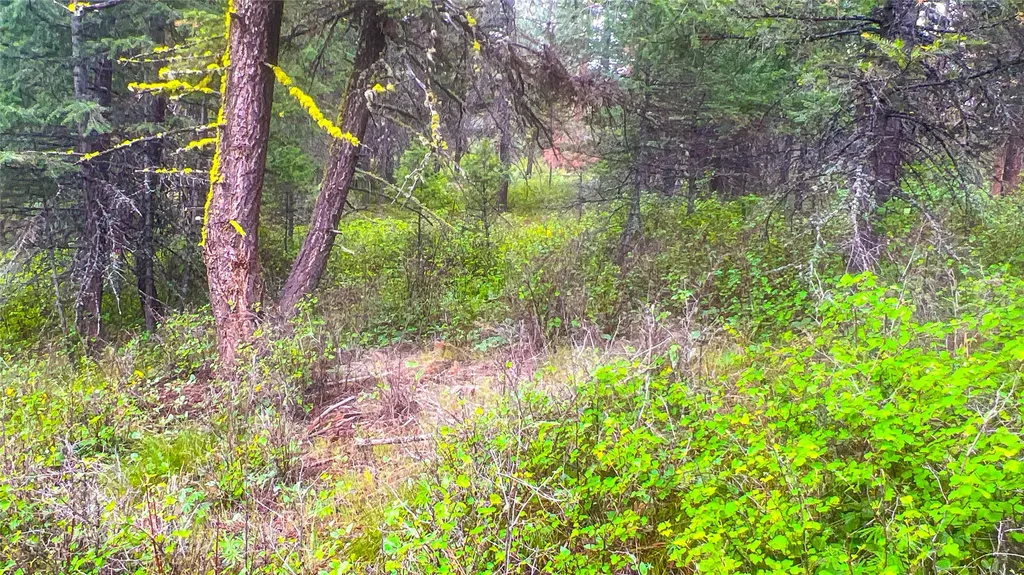 Nhn Nighthawk Drive Frenchtown MT 59834