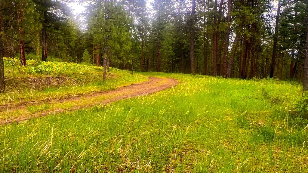 Nhn Nighthawk Drive Frenchtown MT 59834