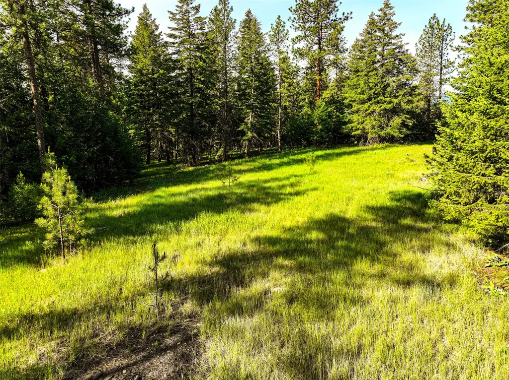 Nhn Nighthawk Drive Frenchtown MT 59834