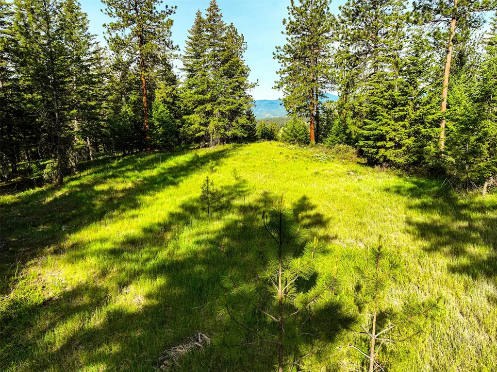 Nhn Nighthawk Drive Frenchtown MT 59834