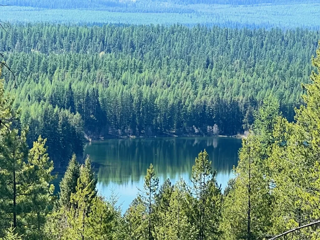 1810 Lupfer Loop Road Olney MT 59927
