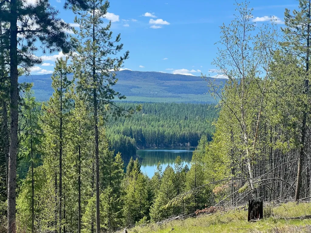 1810 Lupfer Loop Road Olney MT 59927