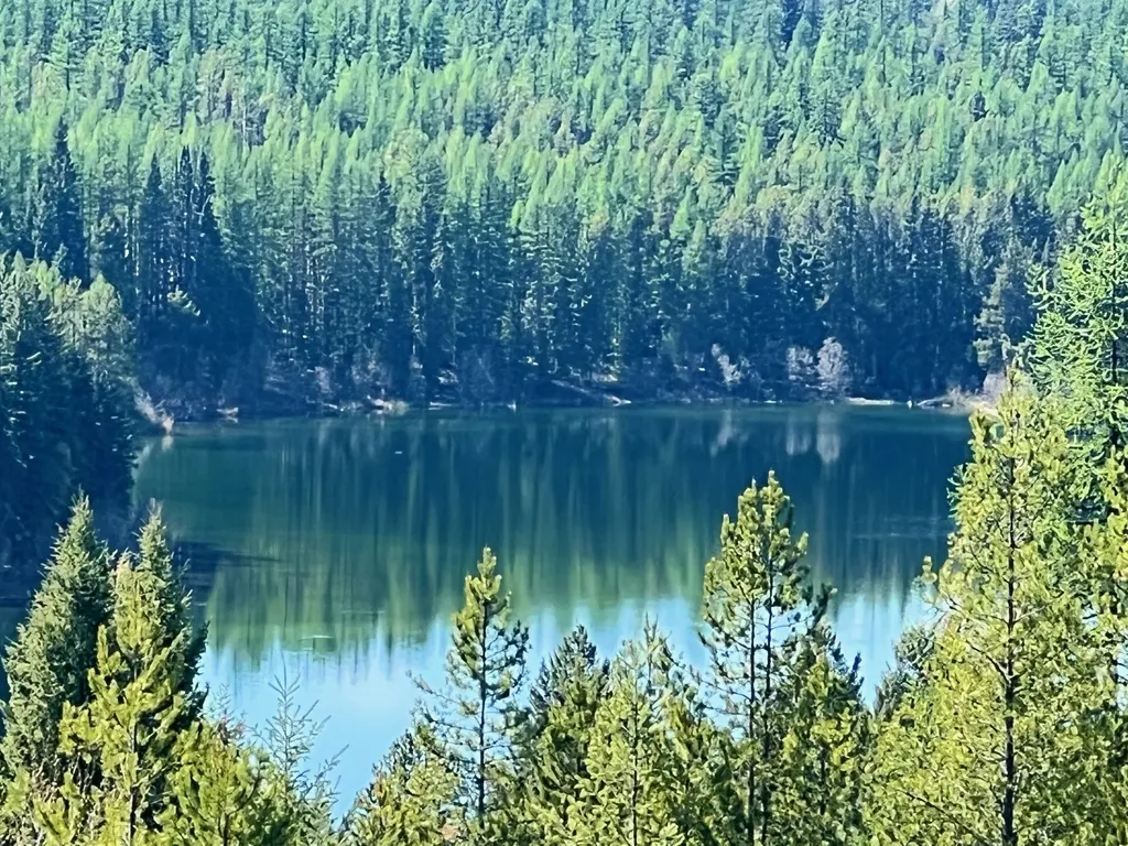 1810 Lupfer Loop Road Olney MT 59927