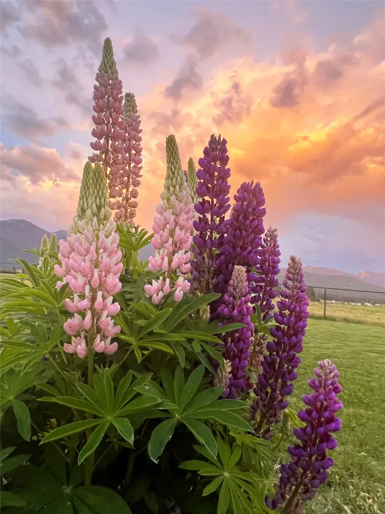 790 Fox Den Trail Kalispell MT 59901