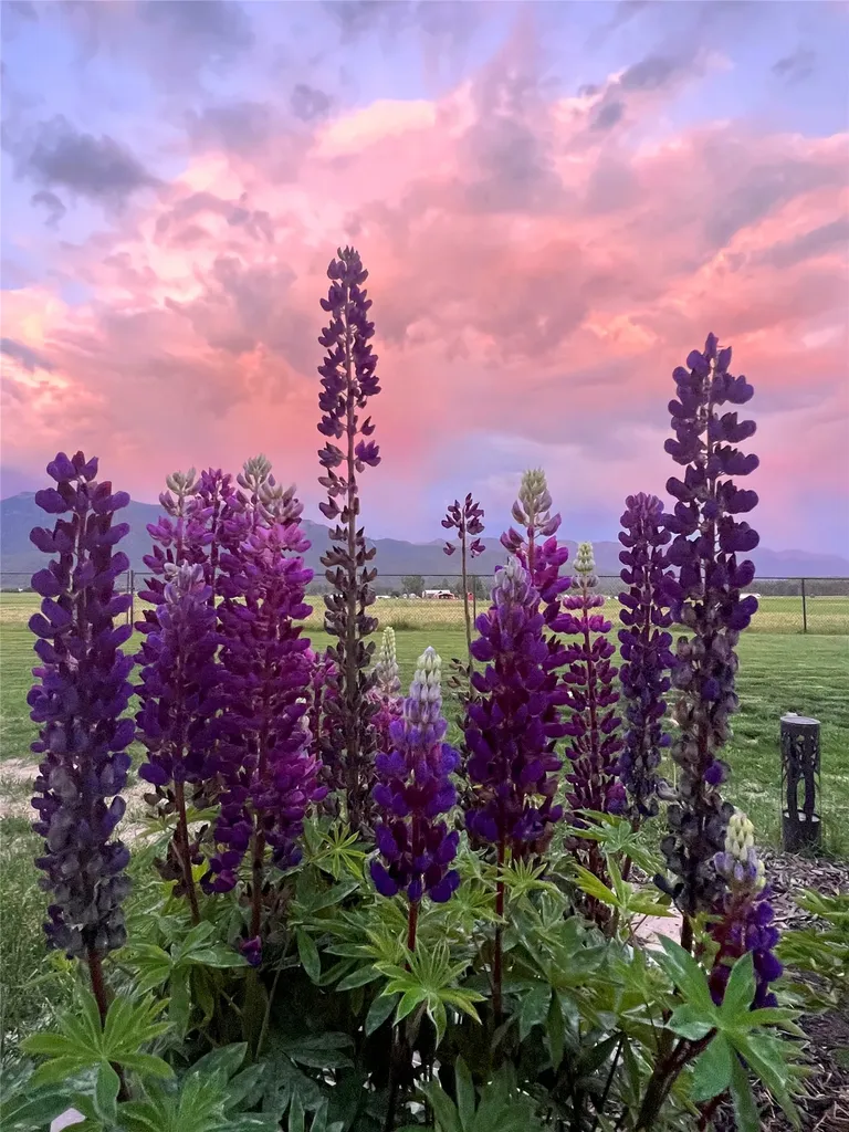 790 Fox Den Trail Kalispell MT 59901