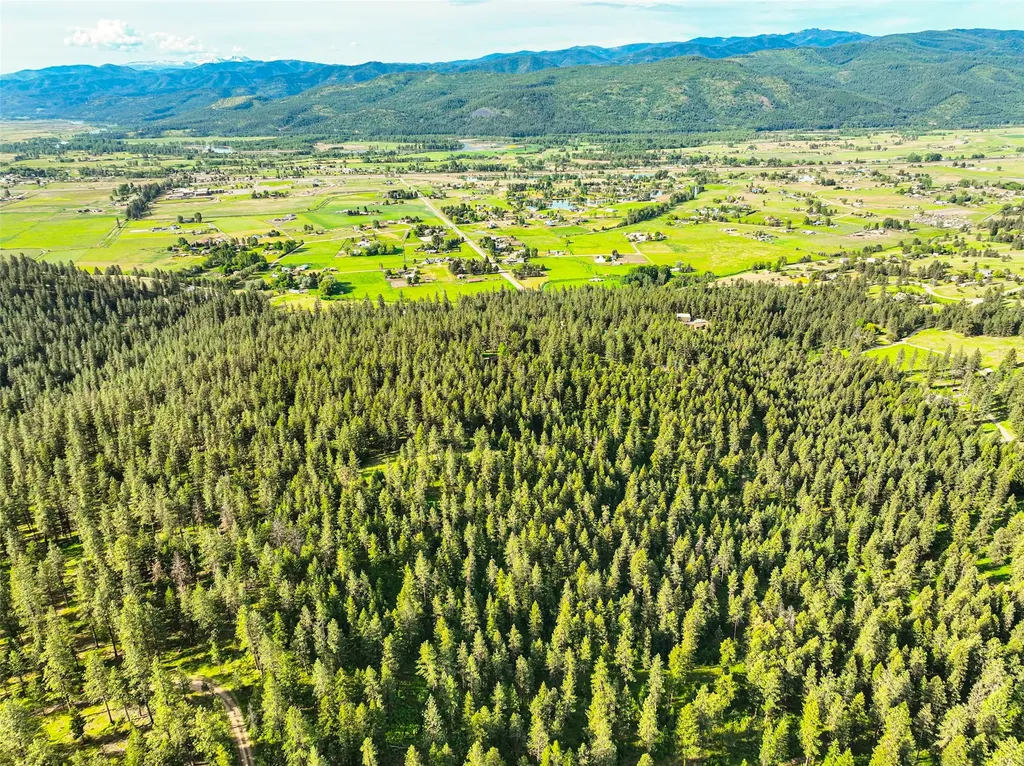17353 Nighthawk Drive Frenchtown MT 59834