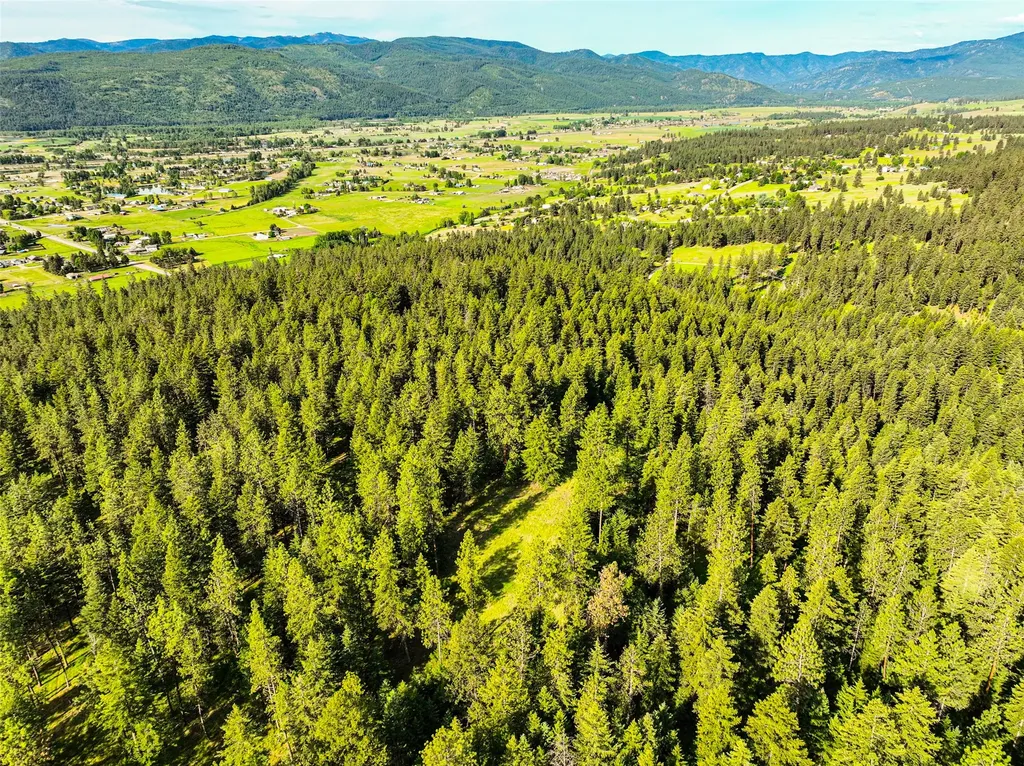 17353 Nighthawk Drive Frenchtown MT 59834
