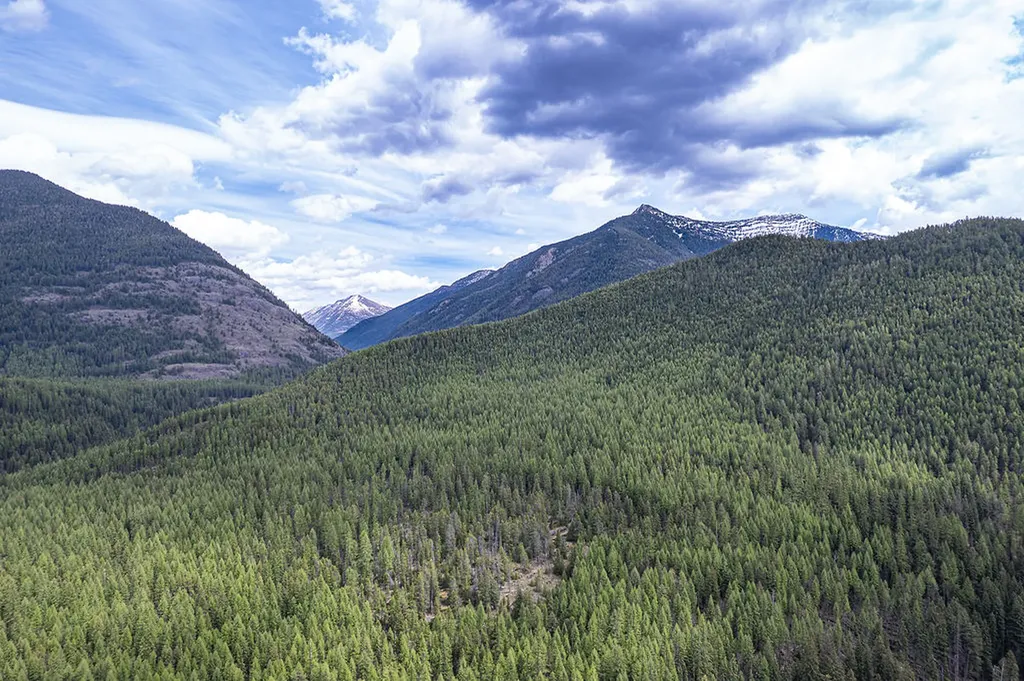 426 Parma Drive Essex MT 59916