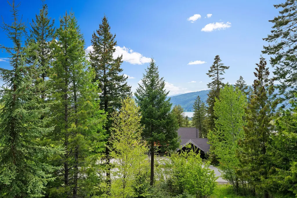 258 N Shooting Star Circle Whitefish MT 59937