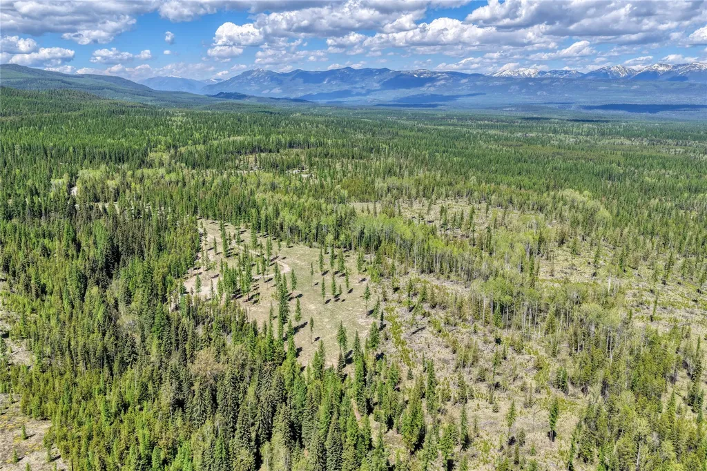 577 Evers Creek Connection Road Whitefish MT 59937