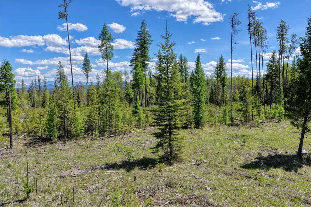 577 Evers Creek Connection Road Whitefish MT 59937