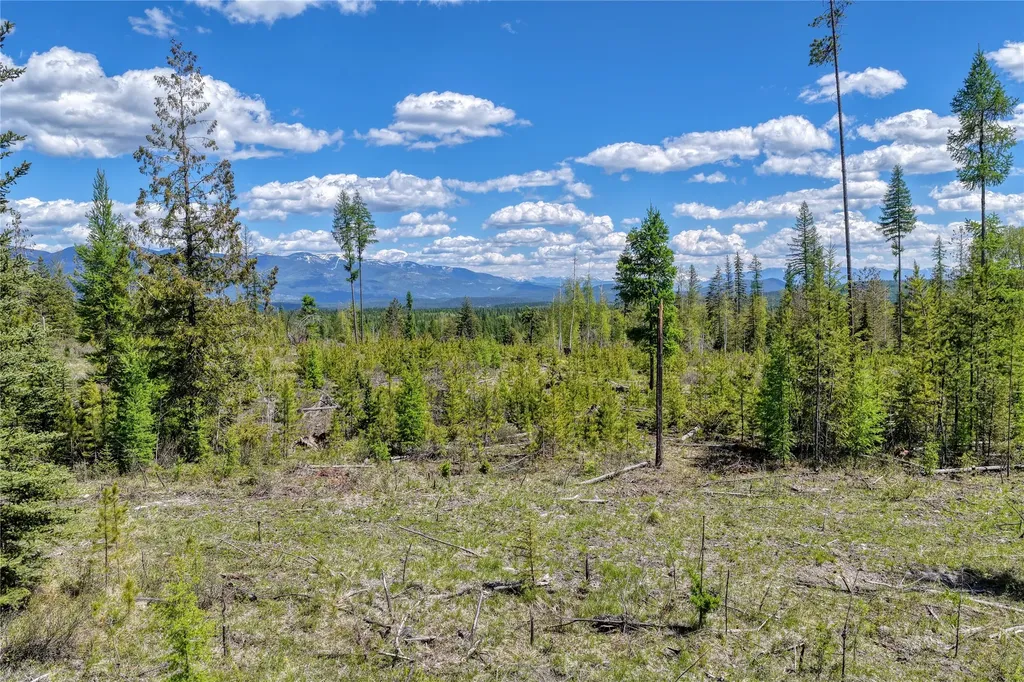 577 Evers Creek Connection Road Whitefish MT 59937