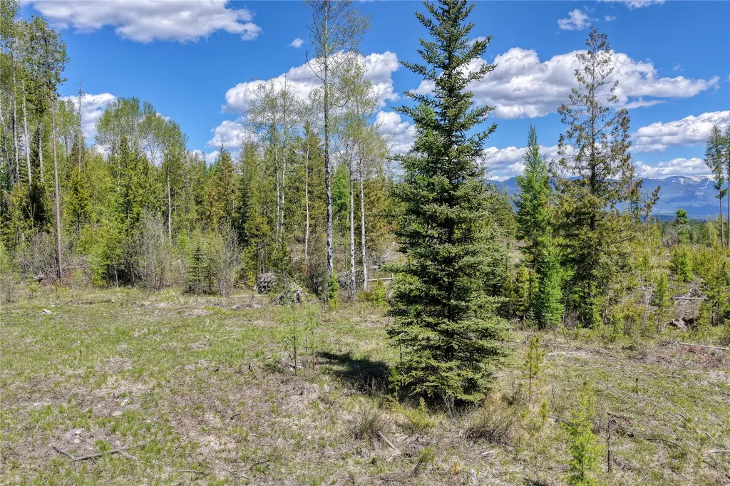 577 Evers Creek Connection Road Whitefish MT 59937