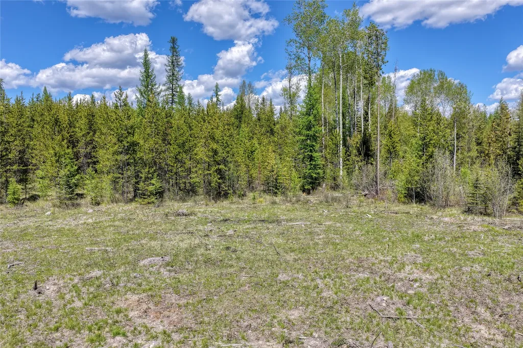 577 Evers Creek Connection Road Whitefish MT 59937