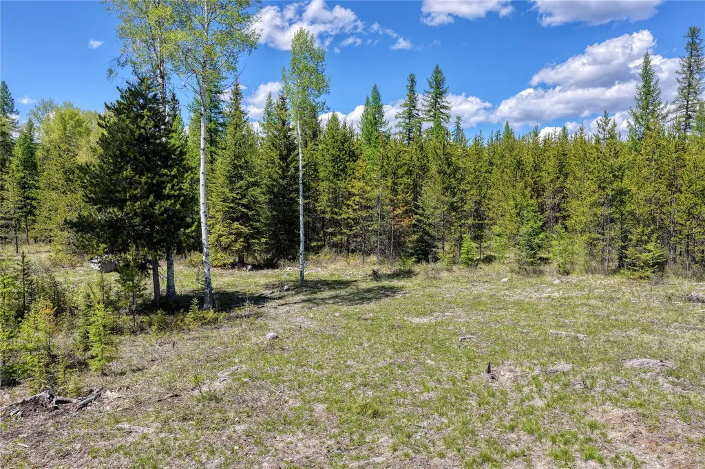 577 Evers Creek Connection Road Whitefish MT 59937