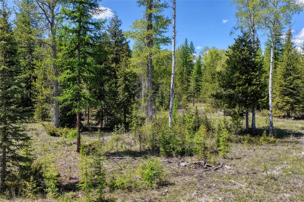 577 Evers Creek Connection Road Whitefish MT 59937