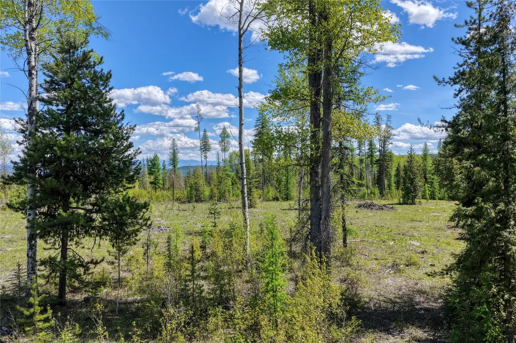 577 Evers Creek Connection Road Whitefish MT 59937