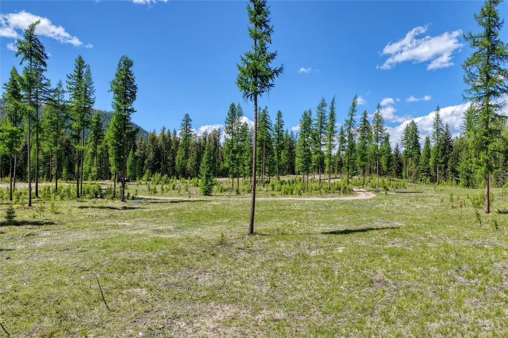 577 Evers Creek Connection Road Whitefish MT 59937