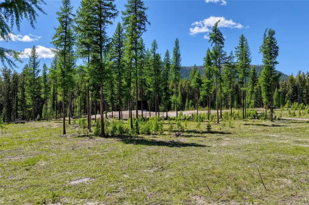 577 Evers Creek Connection Road Whitefish MT 59937