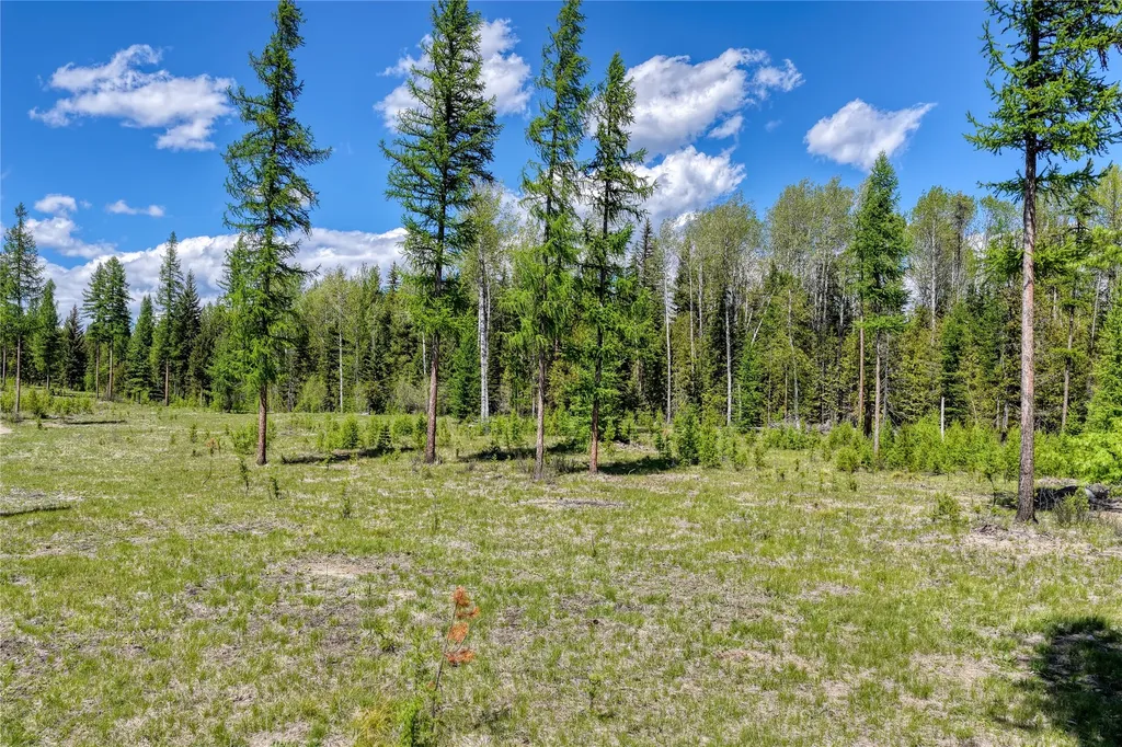 577 Evers Creek Connection Road Whitefish MT 59937