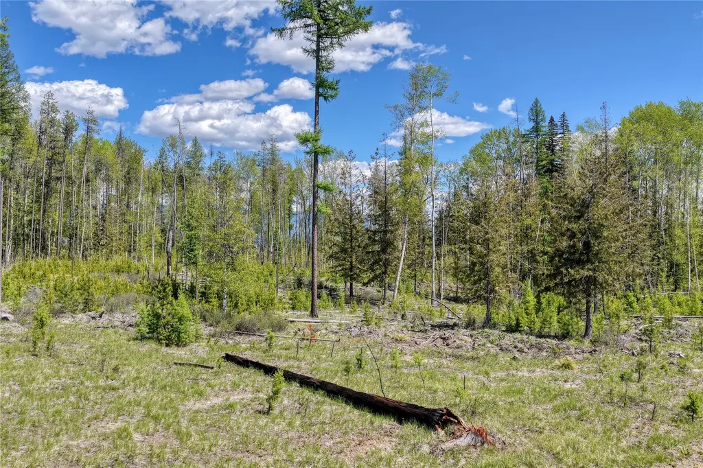 577 Evers Creek Connection Road Whitefish MT 59937
