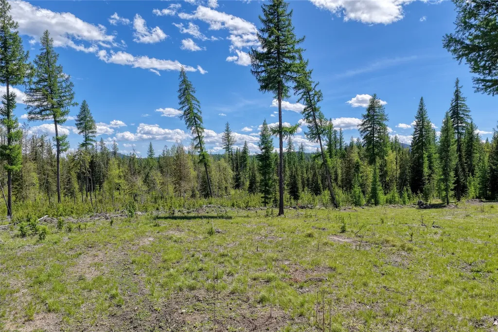 577 Evers Creek Connection Road Whitefish MT 59937