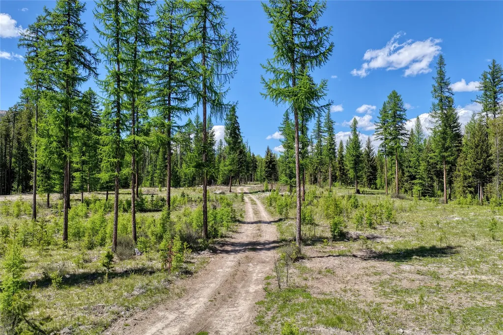 577 Evers Creek Connection Road Whitefish MT 59937