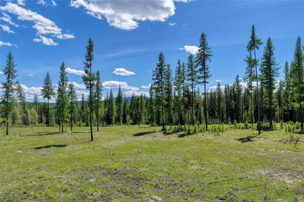 577 Evers Creek Connection Road Whitefish MT 59937