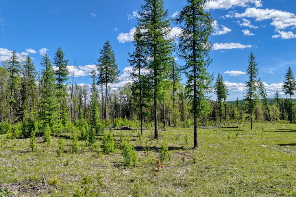 577 Evers Creek Connection Road Whitefish MT 59937