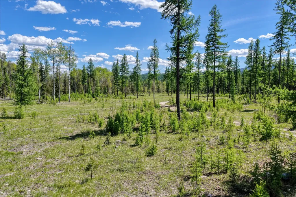 577 Evers Creek Connection Road Whitefish MT 59937