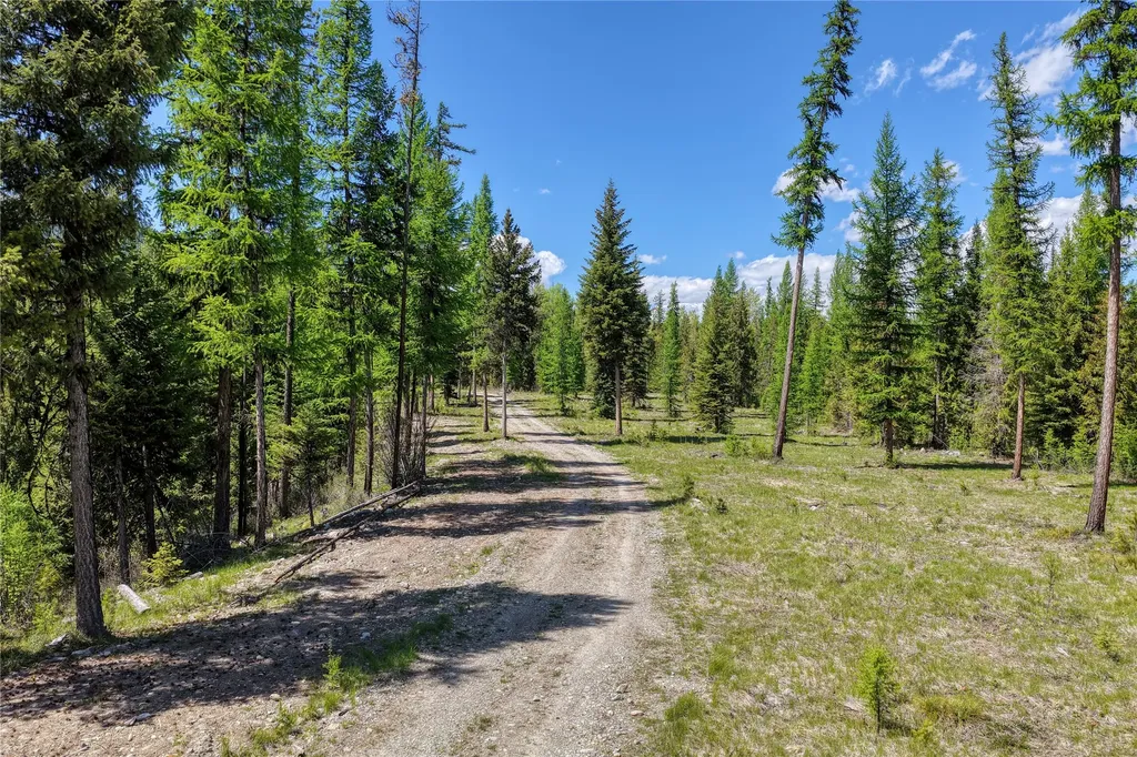 577 Evers Creek Connection Road Whitefish MT 59937