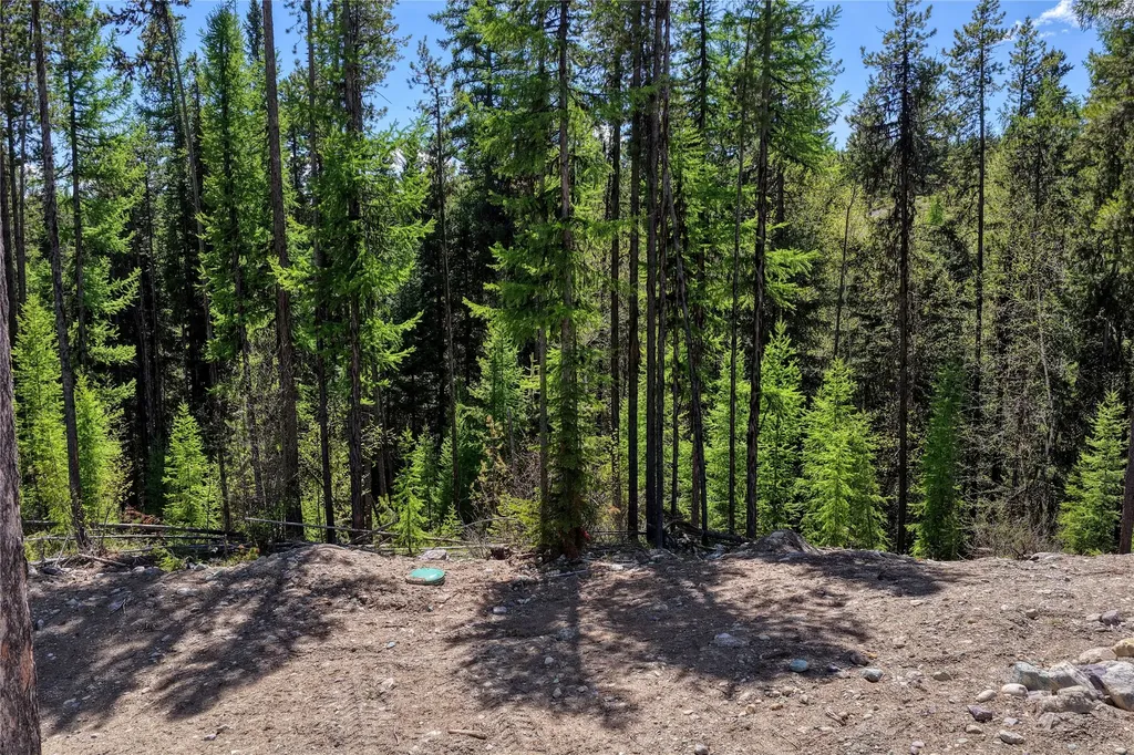 577 Evers Creek Connection Road Whitefish MT 59937