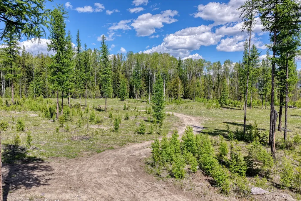 577 Evers Creek Connection Road Whitefish MT 59937