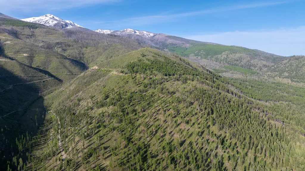 Lolo MT 59847