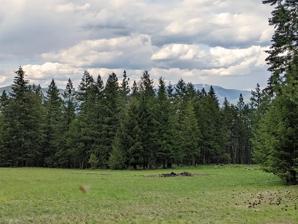 70 Mountain Road Plains MT 59859