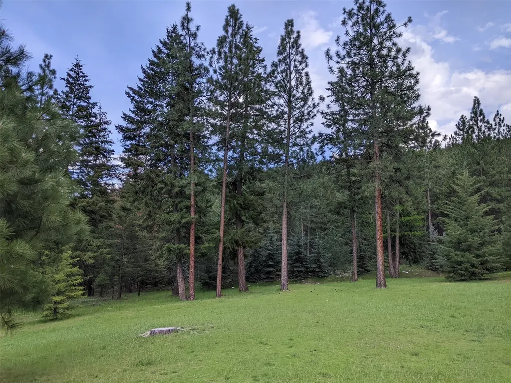 70 Mountain Road Plains MT 59859