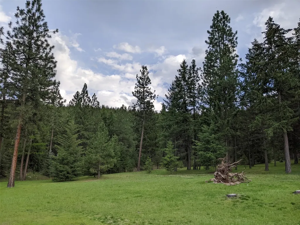 70 Mountain Road Plains MT 59859