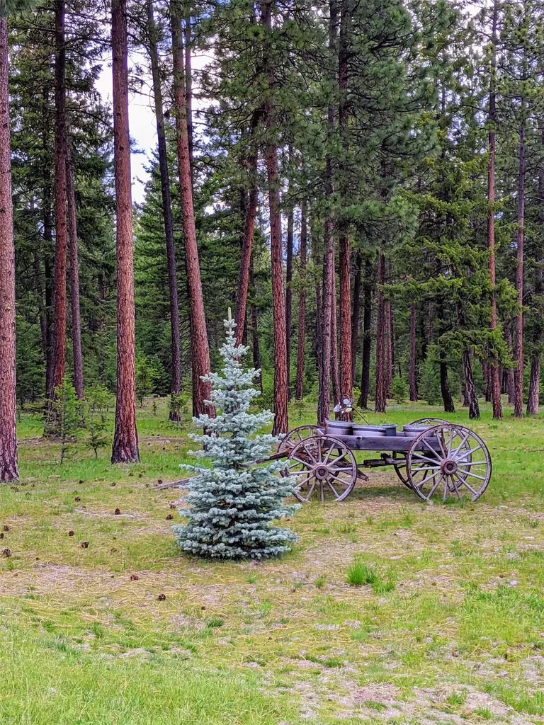 70 Mountain Road Plains MT 59859