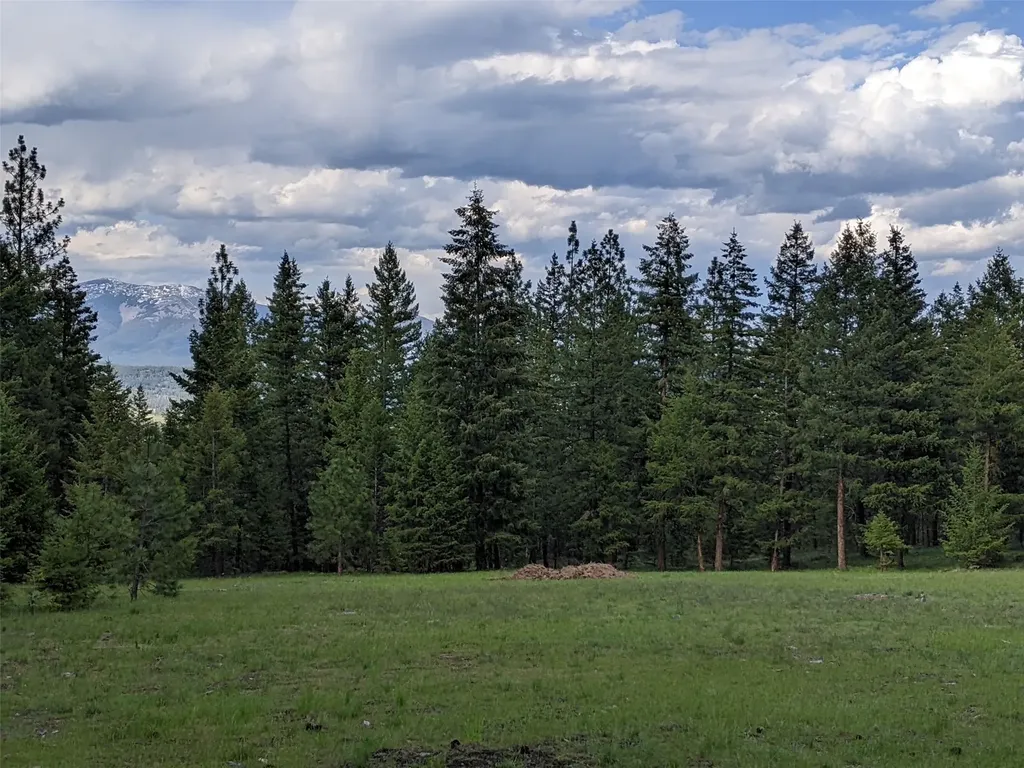 70 Mountain Road Plains MT 59859