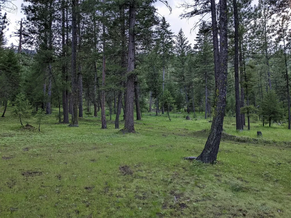 70 Mountain Road Plains MT 59859