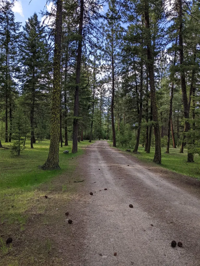 70 Mountain Road Plains MT 59859