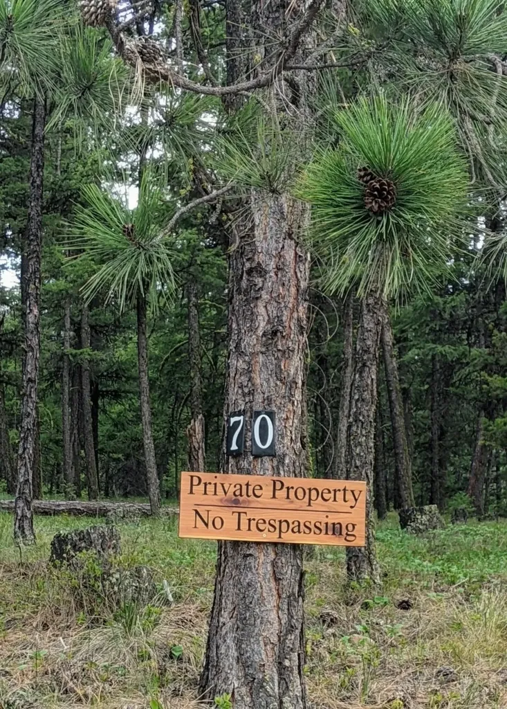 70 Mountain Road Plains MT 59859