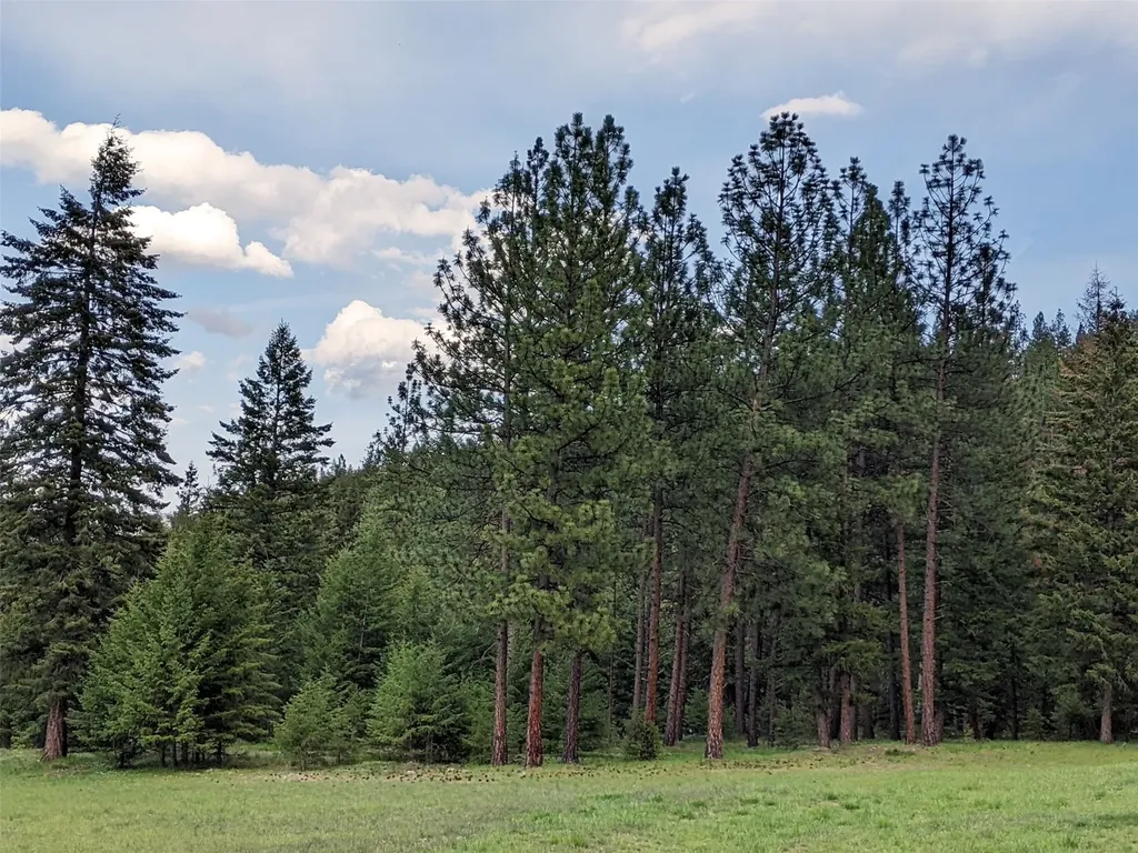 70 Mountain Road Plains MT 59859