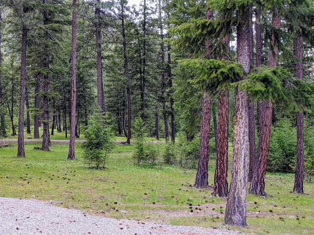 70 Mountain Road Plains MT 59859