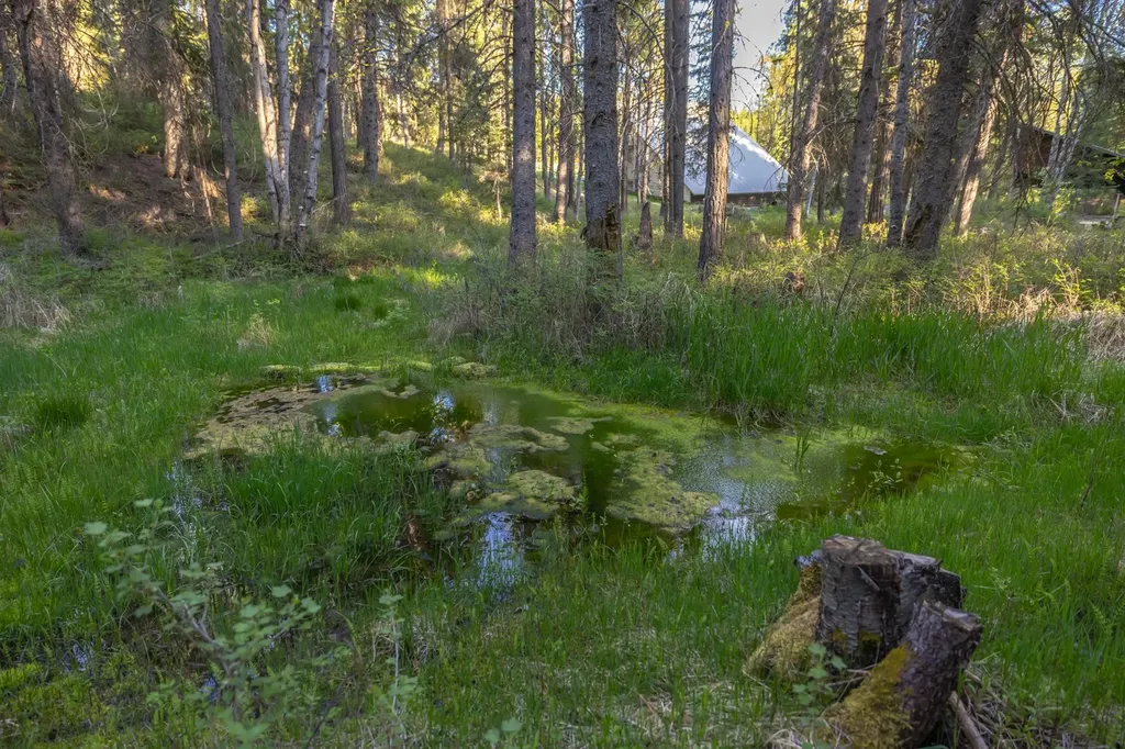 390 Beaver Lake Road Whitefish MT 59937