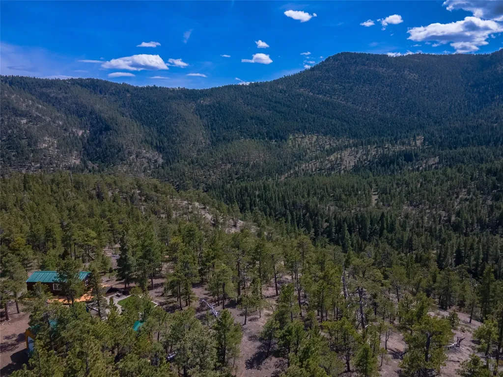 1300 Rogers Creek Road Wolf Creek MT 59648