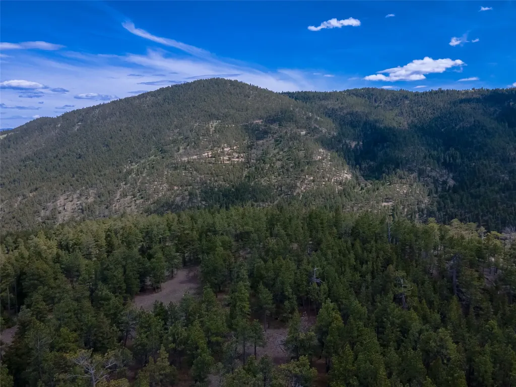 1300 Rogers Creek Road Wolf Creek MT 59648